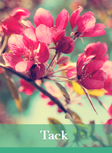 Lade das Bild in den Galerie-Viewer, Herzlichen Glückwunsch/Persönliche Begrüßung – an jemanden, der Ihnen am Herzen liegt